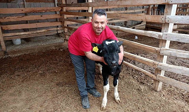 Çal'da Mert için yürekler seferber oldu