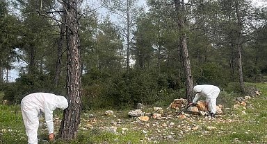 Çamkese böceği ile mücadele devam ediyor