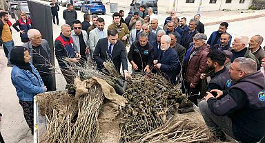 Çemişgezek'te vatandaşlara ücretsiz fidan dağıtıldı