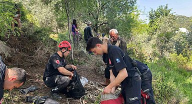 Dağlık alanda otlarken mağaraya düşen inek mağaraya inebilecek kasap bulunamayınca telef oldu