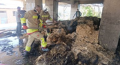 Defne'de samanlık yangını