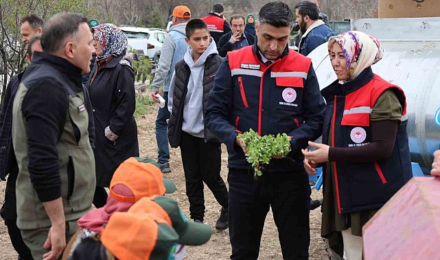 Dinar'da 'Kekik Yetiştiriciliği Projesi' devam ediyor