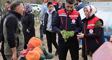 Dinar'da 'Kekik Yetiştiriciliği Projesi' devam ediyor