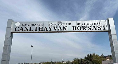 Diyarbakır Canlı Hayvan Borsası tadilata alındı