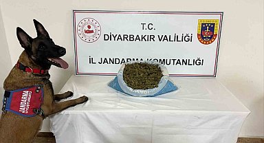 Diyarbakır'da 23 kilo esrar ele geçirildi