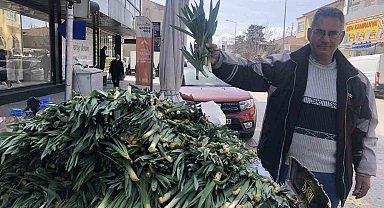 Doğal antibiyotik çiriş otu Erzincan tezgahlarında yerini aldı