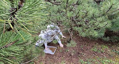 Doğanın sessiz kahramanları görev başında