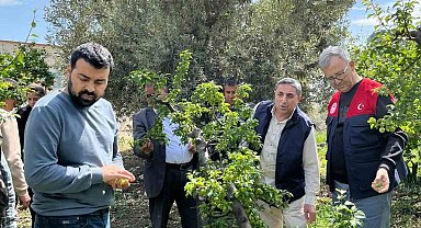 Dolu afeti sonrası hasar tespit çalışmalarına başlandı