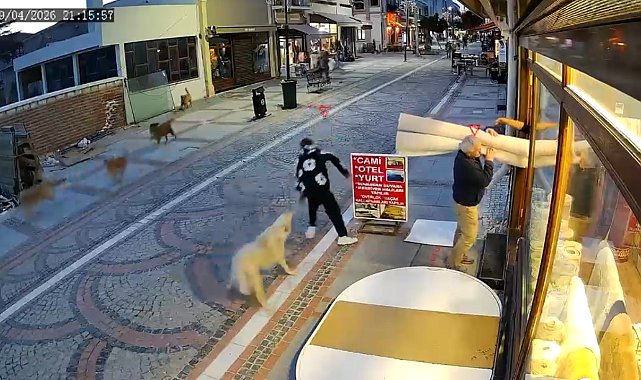 Edirne'de başıboş köpek saldırısı: 19 yaşındaki genç yaralandı