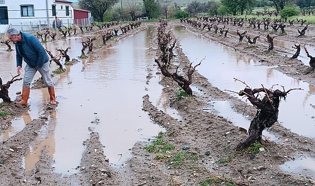 Elazığ'da dolu yağışı sonrası hasar tespit çalışması