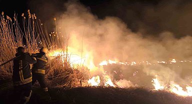 Erzincan'da anız yangını korkuttu