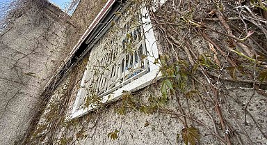 Eskişehir'de 'Sarmaşıklı Camii'nin dış cephesi yeşermeye başladı