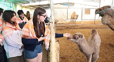 Estonyalı öğrenciler deve çiftliğini gezdi