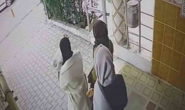 Ev fareleri kameraya yakalandı
