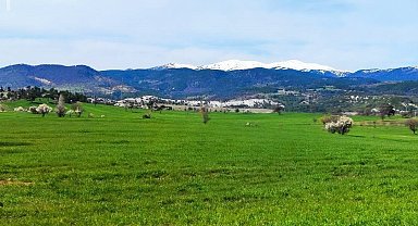Gediz'de bahar aylarının getirdiği güzellik büyülüyor