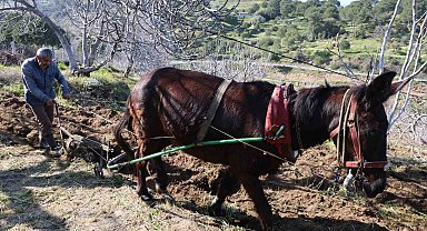 Gençler köyü terk edince iş yaşlılara kaldı