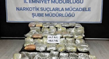 Hakkari'de 64,5 kilogram skunk ele geçirildi