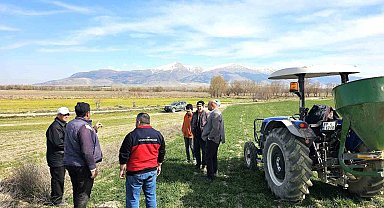 Haşhaş ve hububatta hastalık ve zararlı kontrolleri başladı