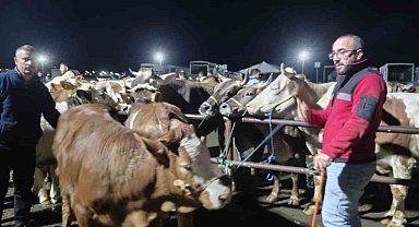 İç Anadolu'nun en büyük hayvan pazarında yoğun kurban mesaisi başladı