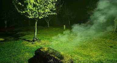 Iğdır'da çiftçiler meyve ağaçlarını dumanlama yöntemi ile soğuktan korudu