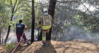 İskenderun'da orman yangını kontrol altına alındı