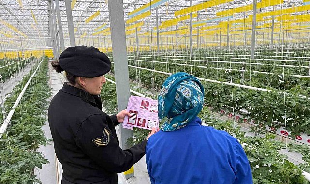 Jandarmanın kadına şiddetle mücadelesi sürüyor