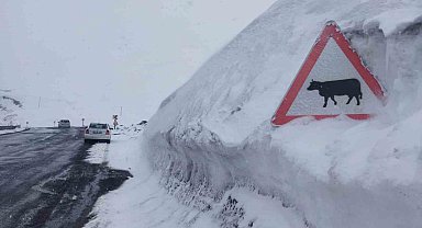 Kar kalınlığı tabela boyunu geçti