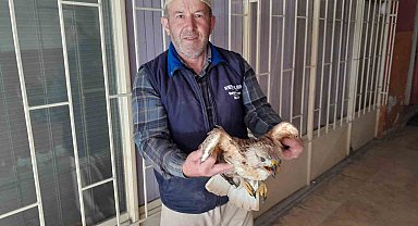 Karapınar'da yaralı kızıl şahin tedavi altına alındı