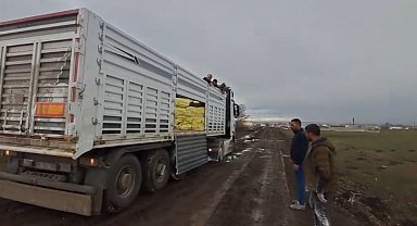 Kars'ta yem ve gübre yüklü tır köy yolunda mahsur kaldı