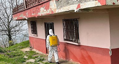 Kaynaşlı ve Yığılca'da Kahverengi Kokarcayla mücadele sürüyor