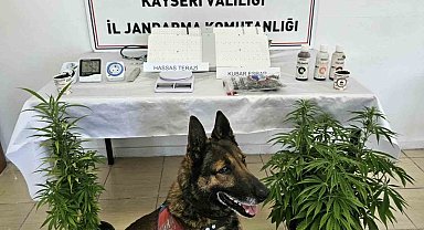 Kayseri'de uyuşturucu operasyonu