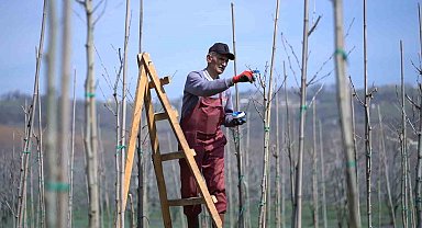 Kestel'de bahar mesaisi