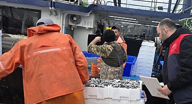 Kırklareli'nde hamsi avcılığına sıkı denetim: 15 milyon 270 bin 699 kilogram hamsi karaya çıkarıldı