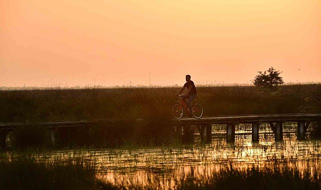 Kızılırmak Deltası Kuş Cenneti'nde bahar coşkusu