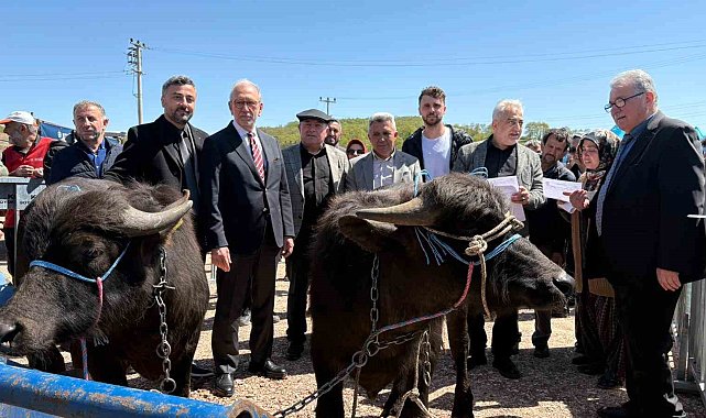 Kocaeli'deki manda yetiştiricilerine 3,4 milyon liralık destek