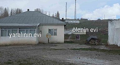 Köpek dehşetinin görüntüleri ortaya çıktı