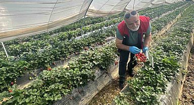 Köşk'ten Sultanhisar'a çapraz denetim