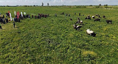 Kozan'da ıslah edilen mera alanı dualarla açıldı, sürüler alanda otlamaya başladı