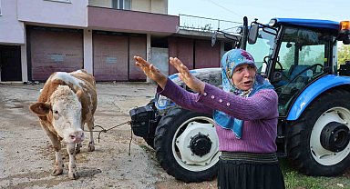 Kozan'daki selde hayvanları telef olan kadın: "Bir anda sel geldi, ahırın üstünü aştı"