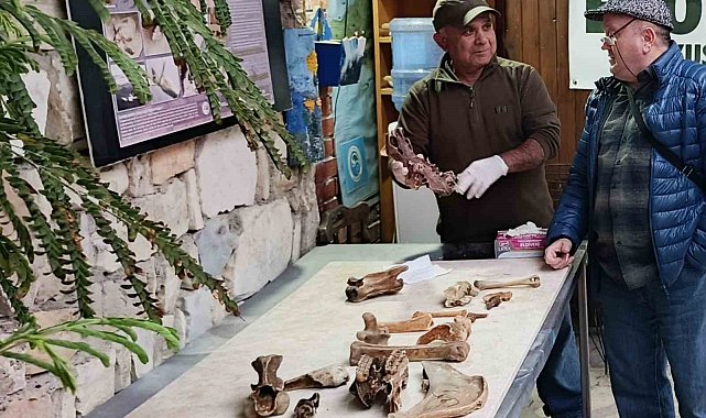 Kuşadası kıyılarında fırtına sonrası ortaya çıkan kemikler incelendi