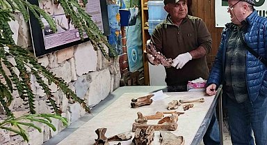 Kuşadası kıyılarında fırtına sonrası ortaya çıkan kemikler incelendi