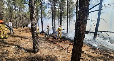 Mersin'de orman yangınlarına karşı tatbikat yapıldı