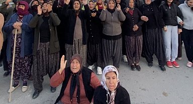 Mersin'de ormanlık alana ekili narenciye bahçelerinin kaldırılması kararına tepki