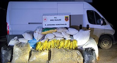 Muş'ta 1 ton 200 kilogram bandrolsüz tütün ele geçirildi