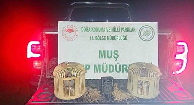 Muş'ta kaçak keklik avına suçüstü: 65 bin TL ceza kesildi