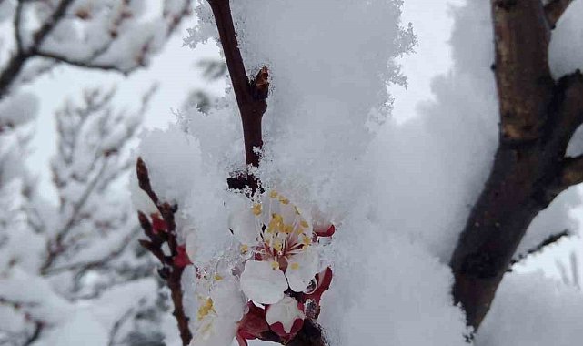 Nisan karı mahalleyi beyaza bürüdü