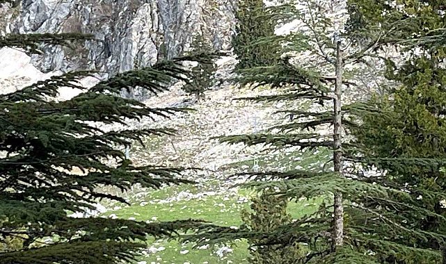 Osmaniye'de kayalıklardan düşen adam hayatını kaybetti