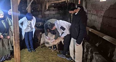 Özalp'te çiftçilere yönelik eğitim seferberliği başlatıldı