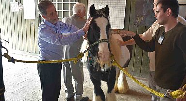 Pendik'te atlarla şifa: Yaşlılar için atla terapi dönemi başladı