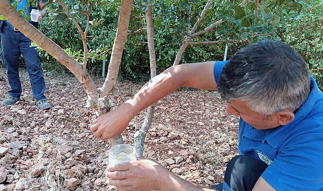 Sakız'dan farklı ürünler üretilmeye başlandı